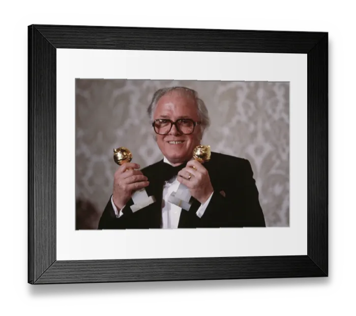 Framed Print : 40th Annual Golden Globe Awards Framed Print : 40th Annual Golden Globe Awards