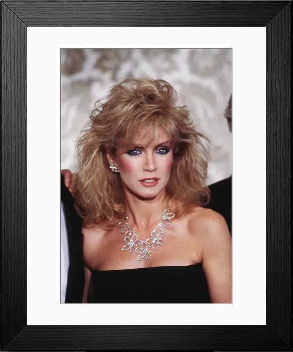 Framed Print : 40th Annual Golden Globe Awards Framed Print : 40th Annual Golden Globe Awards