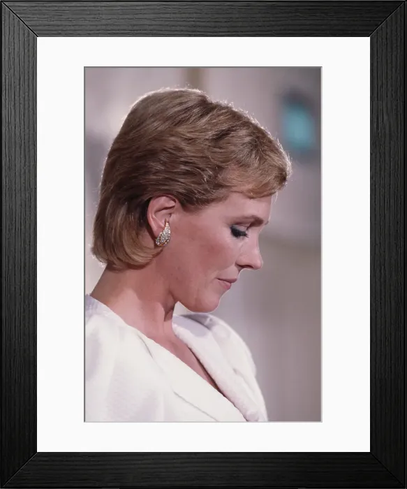 Framed Print : 40th Annual Golden Globe Awards Framed Print : 40th Annual Golden Globe Awards