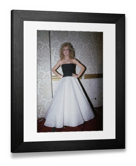 Framed Print : 40th Annual Golden Globe Awards Framed Print : 40th Annual Golden Globe Awards