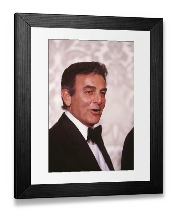 Framed Print : 40th Annual Golden Globe Awards Framed Print : 40th Annual Golden Globe Awards