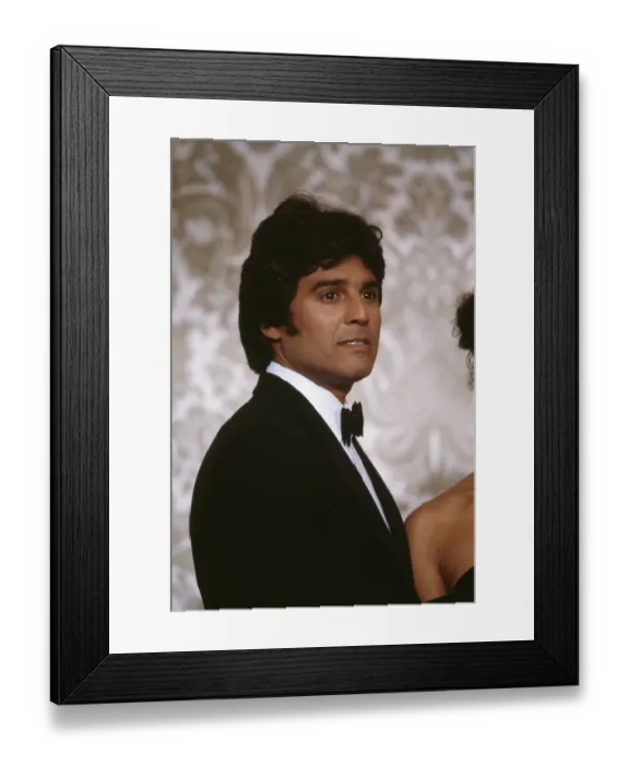 Framed Print : 40th Annual Golden Globe Awards Framed Print : 40th Annual Golden Globe Awards