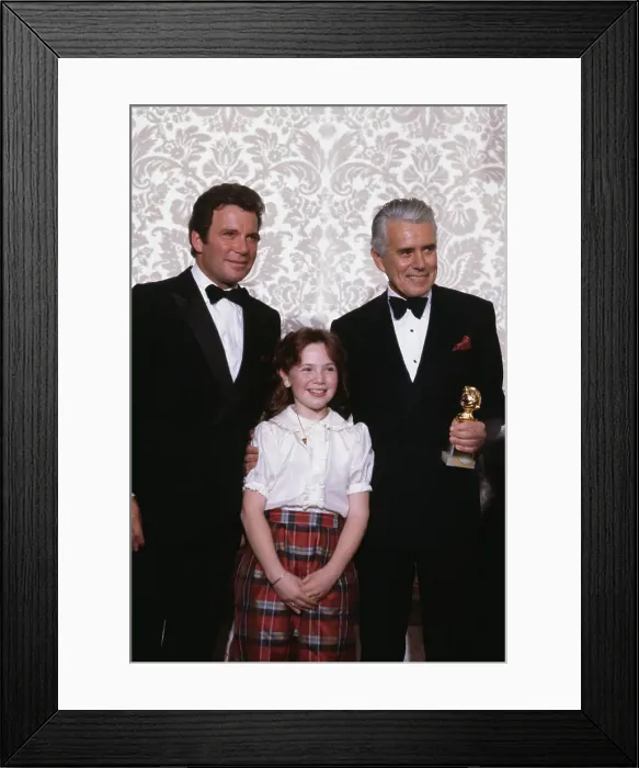 Framed Print : 40th Annual Golden Globe Awards Framed Print : 40th Annual Golden Globe Awards
