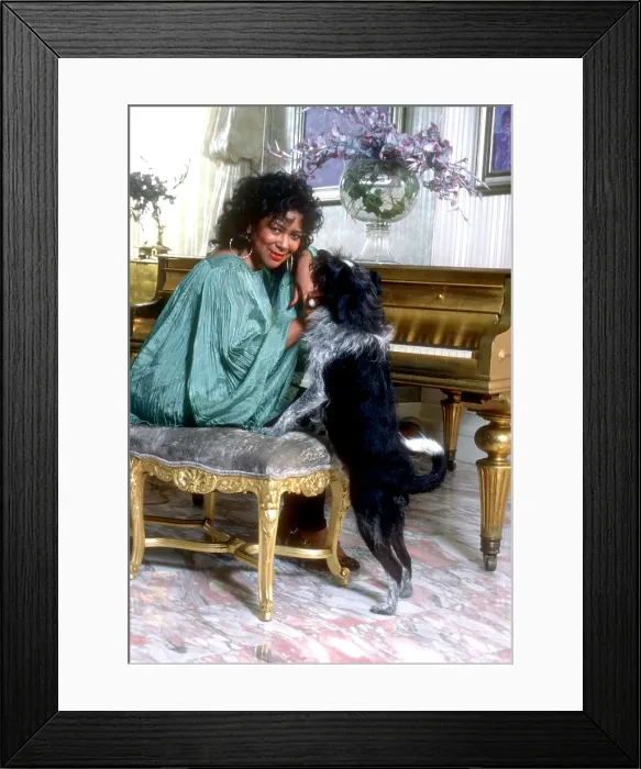 Framed Print : Sylvia Robinson Framed Print : Sylvia Robinson