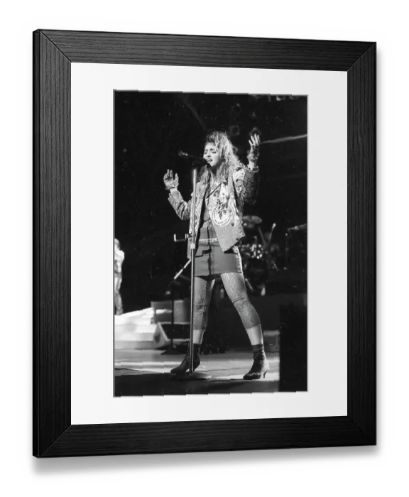 Framed Print : Madison Square Garden Concert