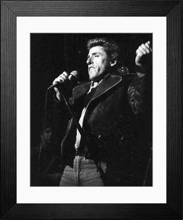 Framed Print : The Who Singer Performing Framed Print : The Who Singer Performing