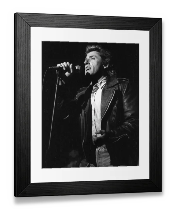 Framed Print : The Who Singer Performing Framed Print : The Who Singer Performing