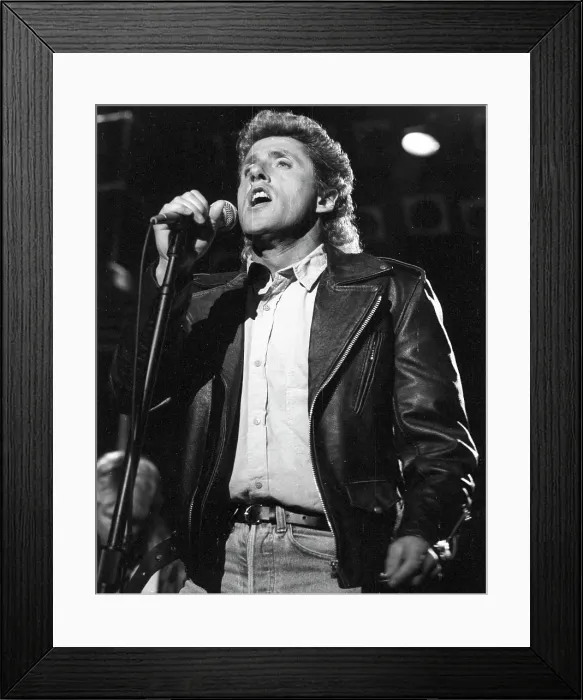 Framed Print : The Who Singer Performing Framed Print : The Who Singer Performing