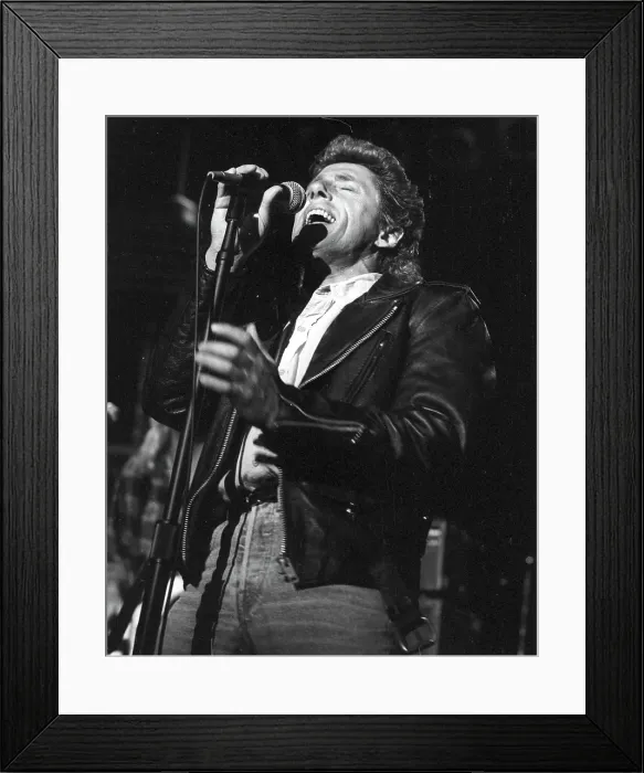 Framed Print : The Who Singer Performing Framed Print : The Who Singer Performing