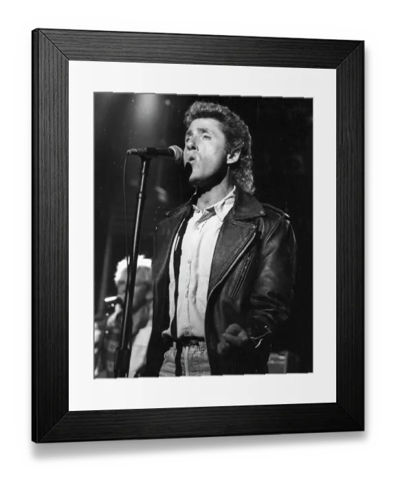 Framed Print : The Who Singer Performing Framed Print : The Who Singer Performing