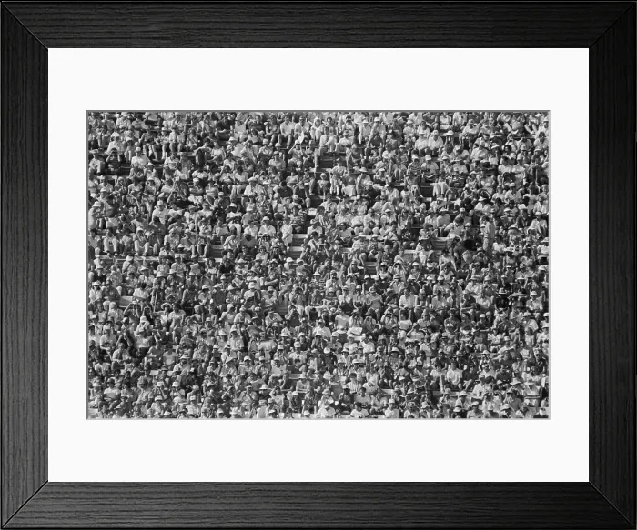Framed Print : 1984 Summer Olympics - Spectators Framed Print : 1984 Summer Olympics - Spectators