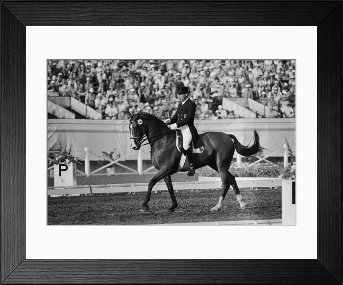 Framed Print : 1984 Summer Olympics - Individual Dressage Framed Print : 1984 Summer Olympics - Individual Dressage