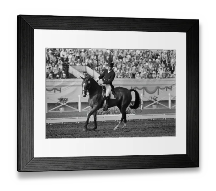 Framed Print : 1984 Summer Olympics - Individual Dressage Framed Print : 1984 Summer Olympics - Individual Dressage