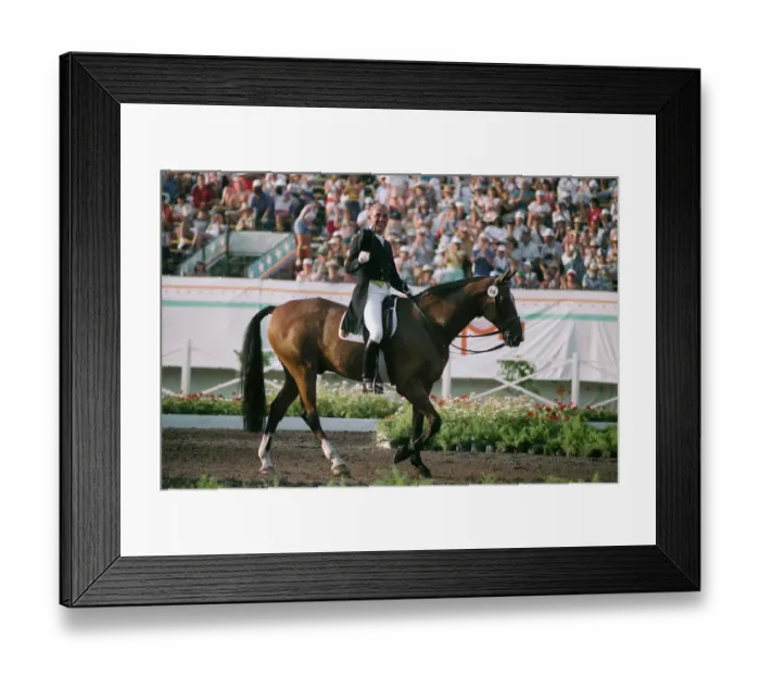 Framed Print : 1984 Summer Olympics - Individual Dressage Framed Print : 1984 Summer Olympics - Individual Dressage