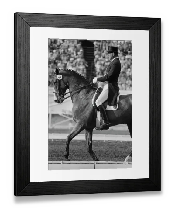 Framed Print : 1984 Summer Olympics - Individual Dressage Framed Print : 1984 Summer Olympics - Individual Dressage