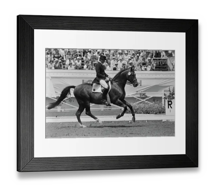 Framed Print : 1984 Summer Olympics - Individual Dressage Framed Print : 1984 Summer Olympics - Individual Dressage
