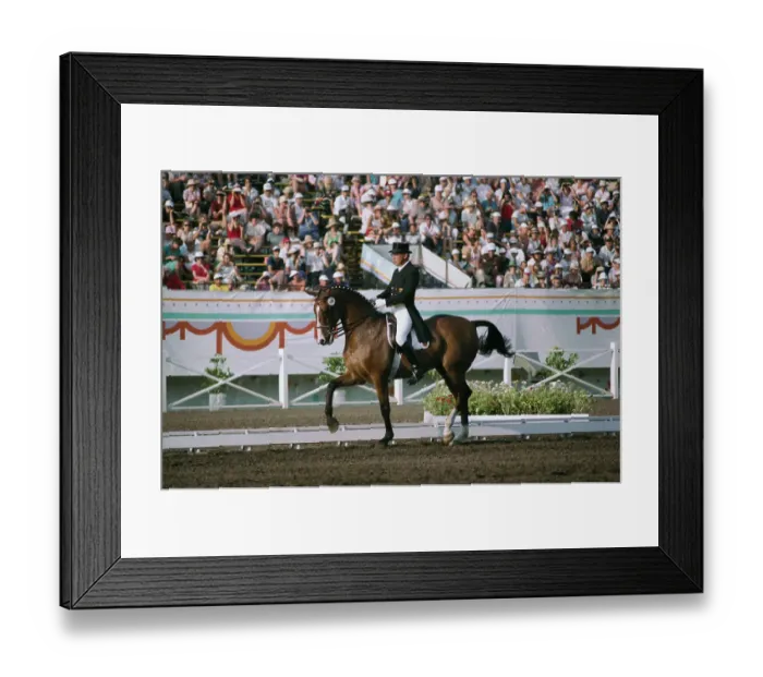Framed Print : 1984 Summer Olympics - Individual Dressage Framed Print : 1984 Summer Olympics - Individual Dressage