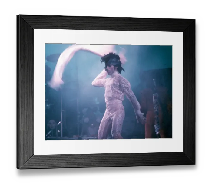 Framed Print : Prince Live In LA