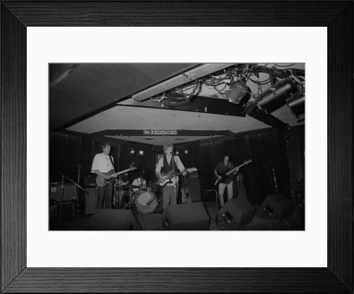 Framed Print : The Rave-Ups At The Palomino Framed Print : The Rave-Ups At The Palomino