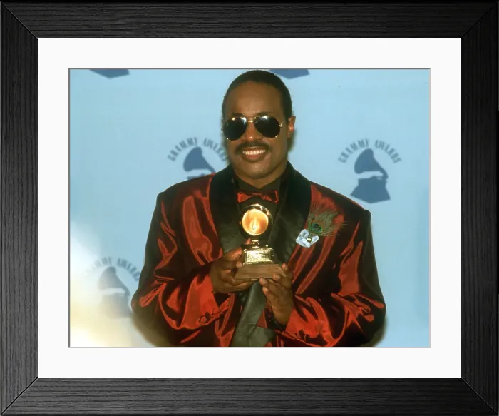 Framed Print : Stevie Wonder At The Grammys Framed Print : Stevie Wonder At The Grammys