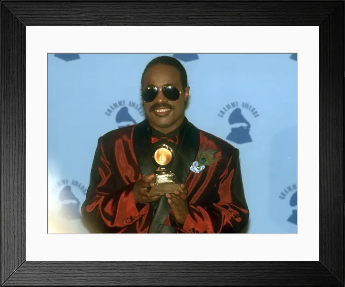 Framed Print : Stevie Wonder At The Grammys Framed Print : Stevie Wonder At The Grammys