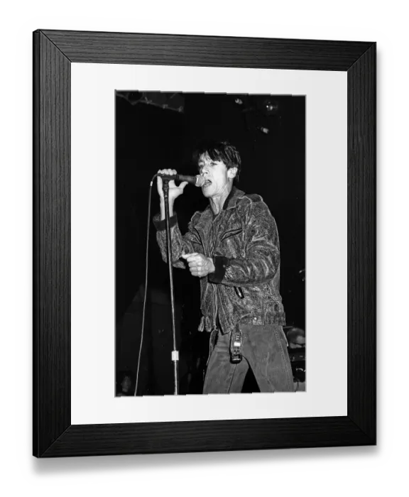 Framed Print : Iggy Pop Performing Framed Print : Iggy Pop Performing