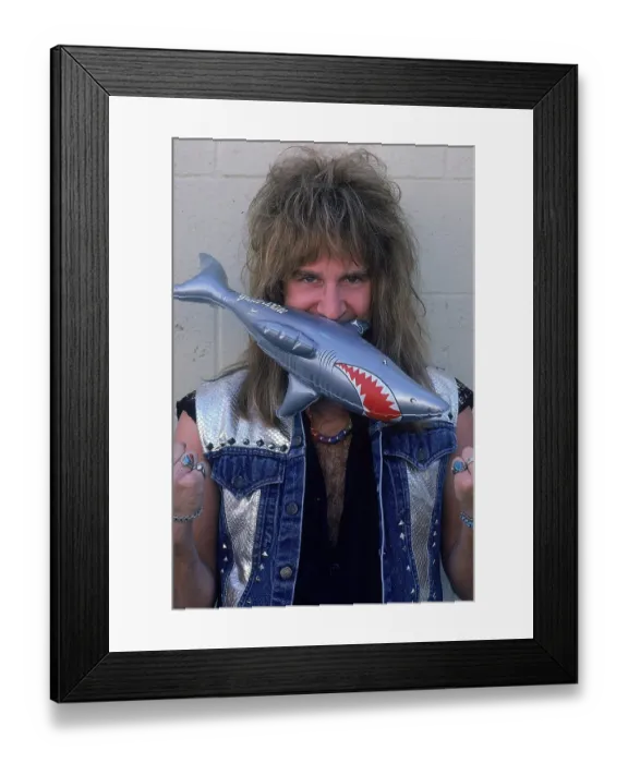 Framed Print : Jack Russell of Great White Framed Print : Jack Russell of Great White