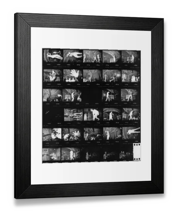 Framed Print : Beastie Boys At The Hollywood Palladium Framed Print : Beastie Boys At The Hollywood Palladium