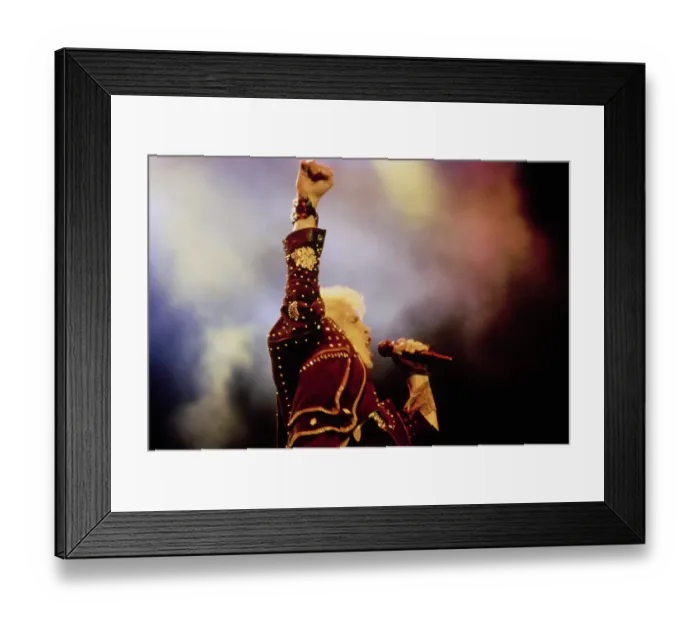 Framed Print : Billy Idol at Irvine Meadows Amphitheatre Framed Print : Billy Idol at Irvine Meadows Amphitheatre