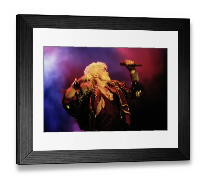 Framed Print : Billy Idol at Irvine Meadows Amphitheatre Framed Print : Billy Idol at Irvine Meadows Amphitheatre