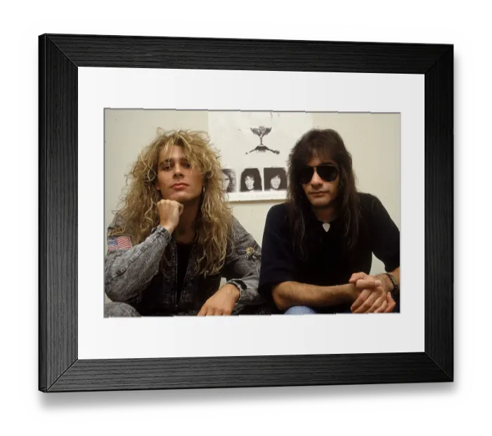 Framed Print : White Lion Portrait Framed Print : White Lion Portrait