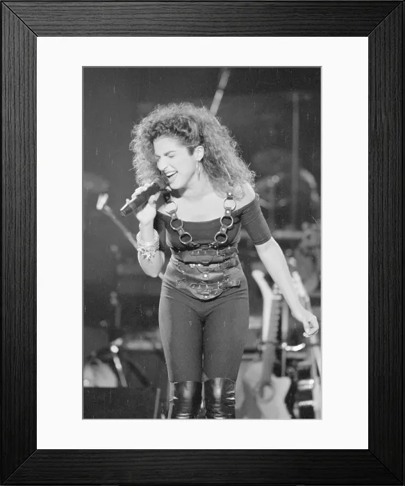 Framed Print : Miami Sound Machine Framed Print : Miami Sound Machine