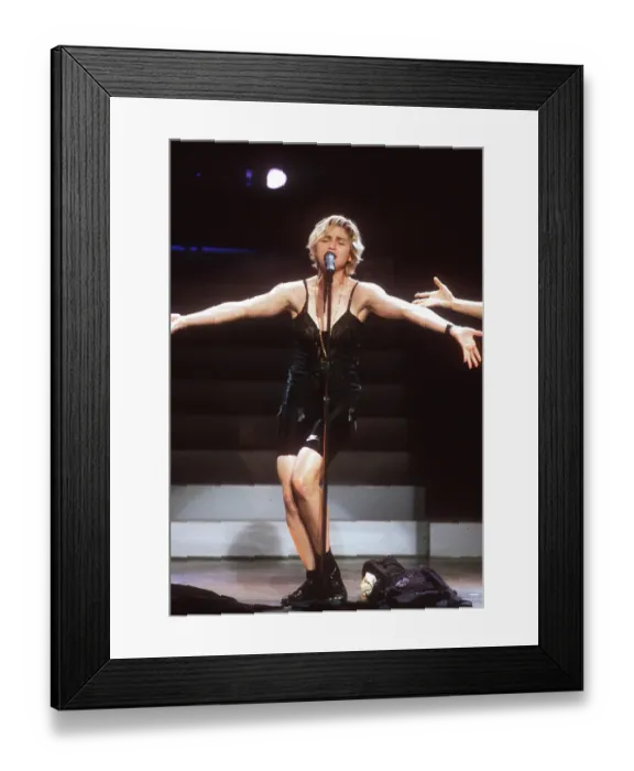 Framed Print : Los Angeles Concert