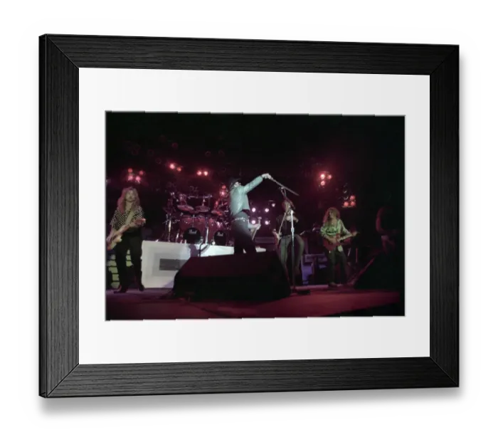 Framed Print : Hank Williams Jr. At The Greek Theatre Framed Print : Hank Williams Jr. At The Greek Theatre
