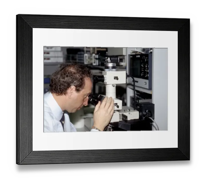 Framed Print : Private Investigator Anthony Pellicano Framed Print : Private Investigator Anthony Pellicano