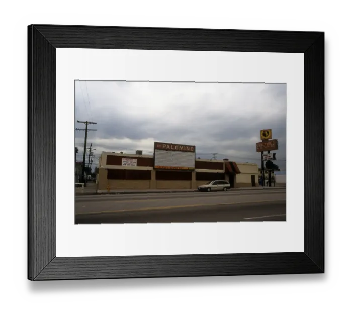 Framed Print : The Palomino Framed Print : The Palomino