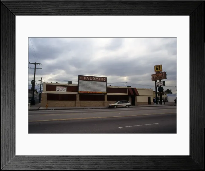 Framed Print : The Palomino Framed Print : The Palomino