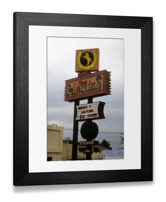 Framed Print : The Palomino Framed Print : The Palomino