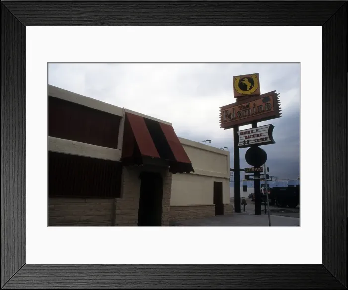 Framed Print : The Palomino Framed Print : The Palomino