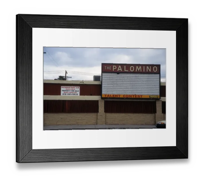 Framed Print : The Palomino Framed Print : The Palomino