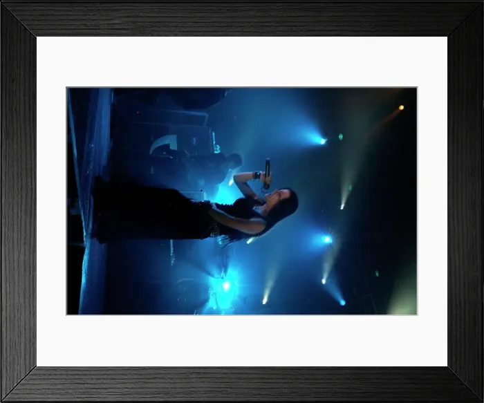 Framed Print : Photo of Evanescence Framed Print : Photo of Evanescence
