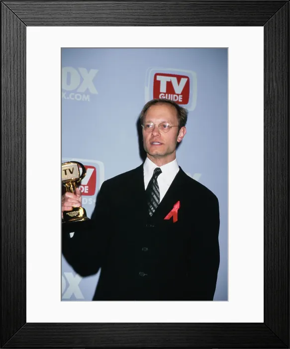 Framed Print : David Hyde Pierce Wins At The 2nd Annual TV Guide Awards Framed Print : David Hyde Pierce Wins At The 2nd Annual TV Guide Awards