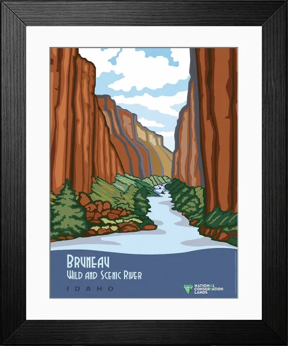 Framed Print : Bruneau Wild And Scenic River Framed Print : Bruneau Wild And Scenic River