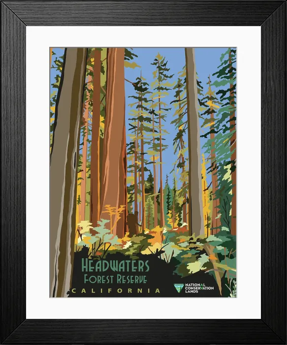 Framed Print : Headwaters Forest Reserve