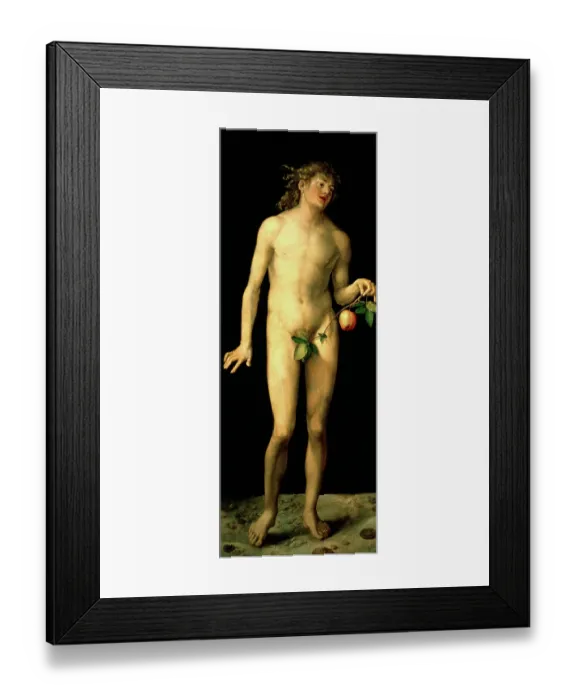 Framed Print : Adam, 1507. Artist: Albrecht Dürer Framed Print : Adam, 1507. Artist: Albrecht Dürer