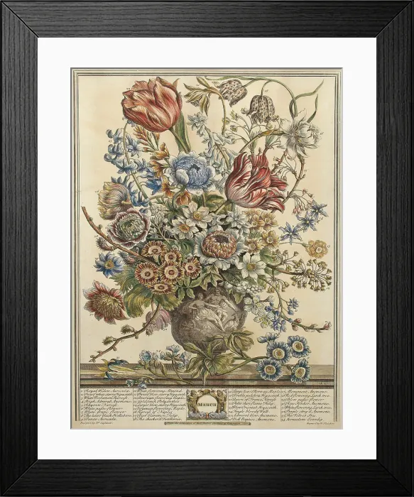 Framed Print : Private Collection Framed Print : Private Collection