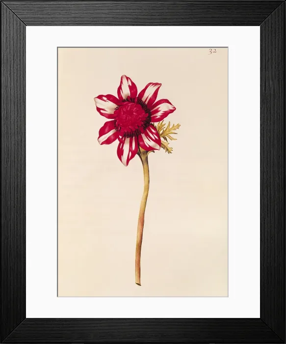 Framed Print : Private Collection Framed Print : Private Collection