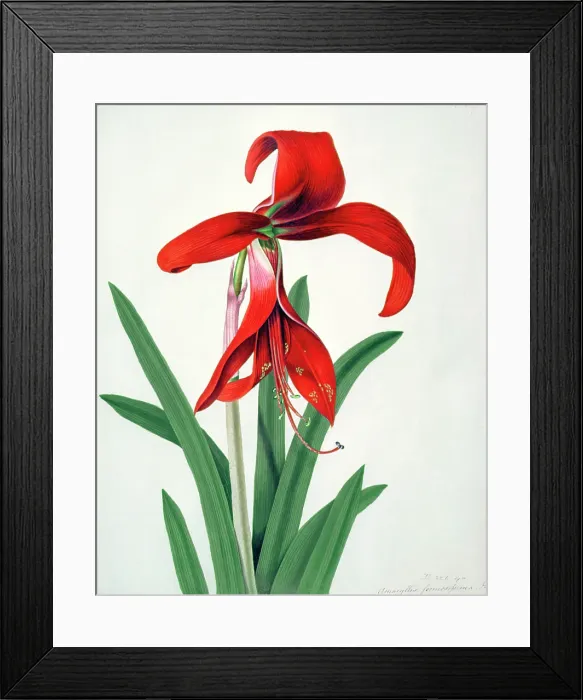 Framed Print : Victoria & Albert Museum, London, UK Framed Print : Victoria & Albert Museum, London, UK