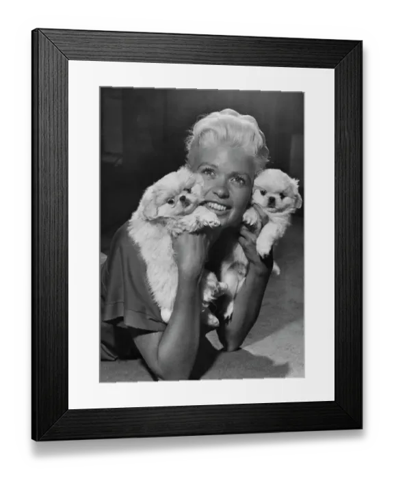 Framed Print : Jayne Mansfield with Pekingese Dogs Framed Print : Jayne Mansfield with Pekingese Dogs
