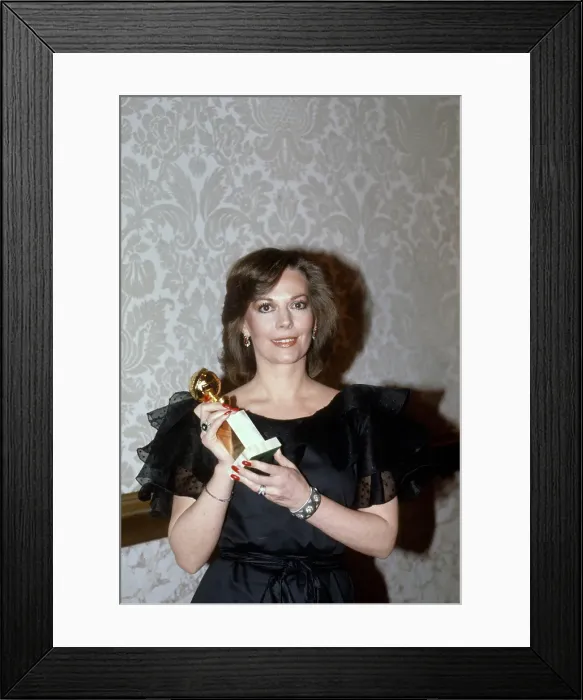 Framed Print : 38th Golden Globe Awards Framed Print : 38th Golden Globe Awards